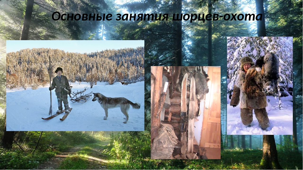 zanyatiya_shortsev.jpg